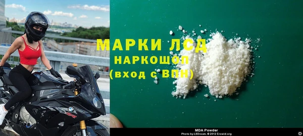 гашик Алексин