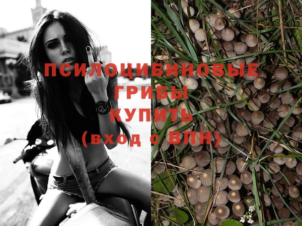 марки nbome Алзамай
