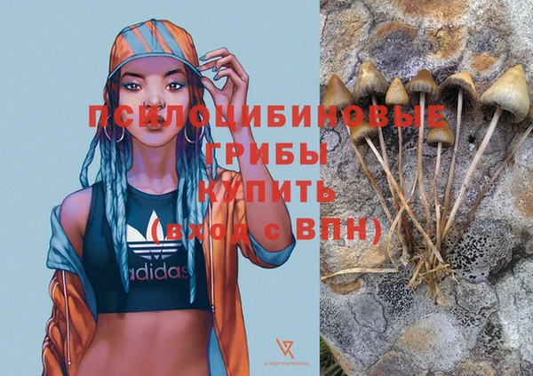 гашик Алексин
