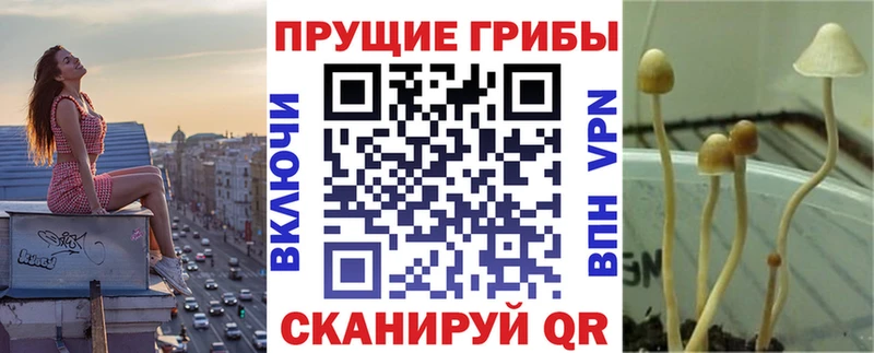 наркота  Орёл  кракен рабочий сайт  Псилоцибиновые грибы ЛСД 